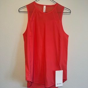 NWT Sculpt Tank